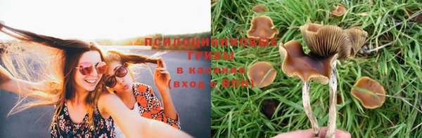 гашишное масло Аркадак