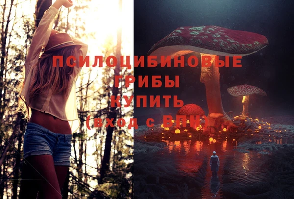 гашишное масло Аркадак